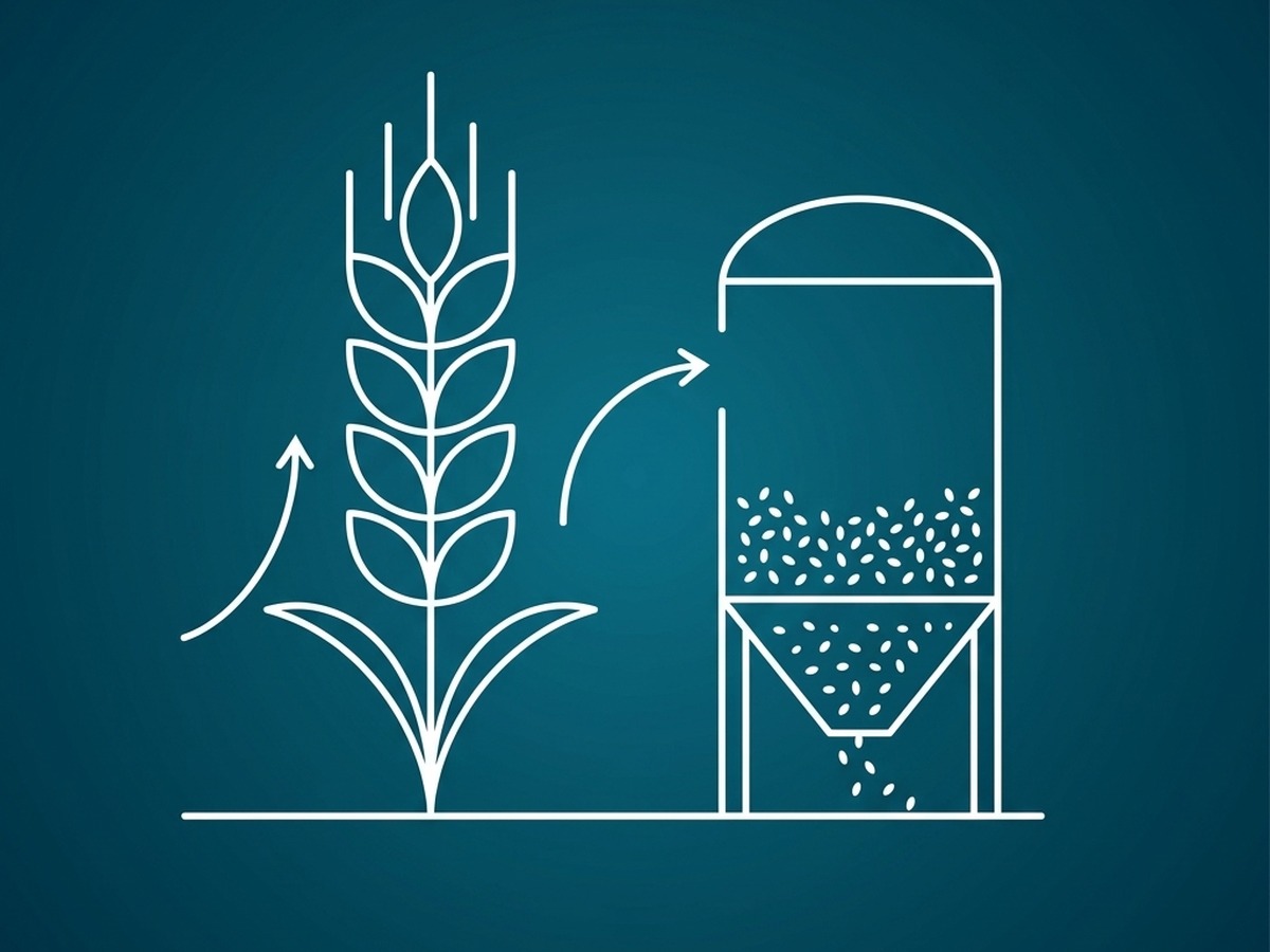 Alimentaria y Agroindustrial