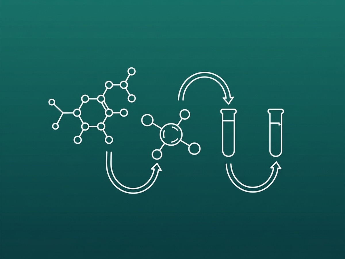 Química y Farmacéutica